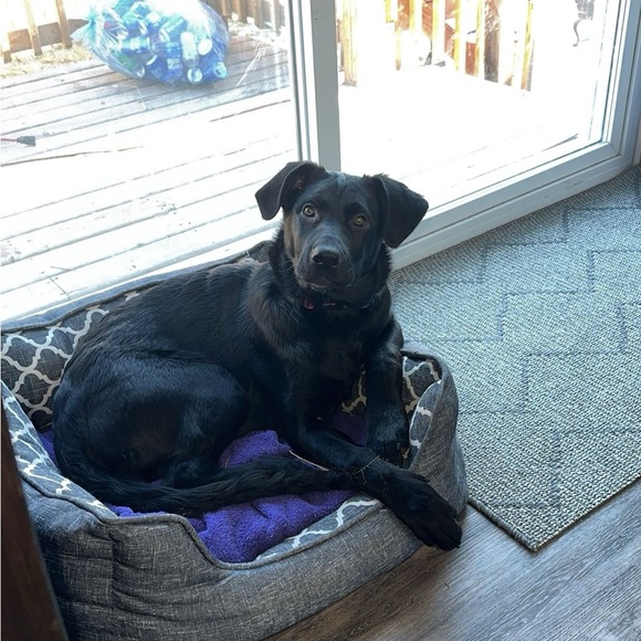 Celia - Picture 2 of 2